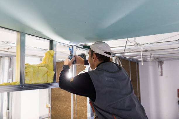 Professional Insulation in Runge, TX